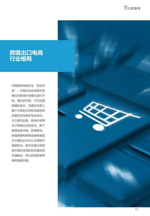 20212022中国跨境出口b2c电商白皮书品质篇